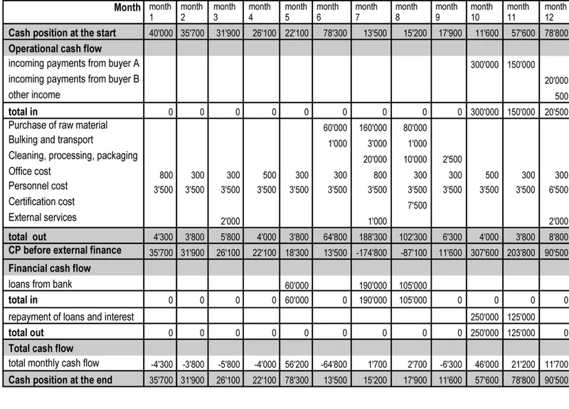 Twelve-month cash-flow table showing incoming payments, operating costs, bank loans and the month-end cash position